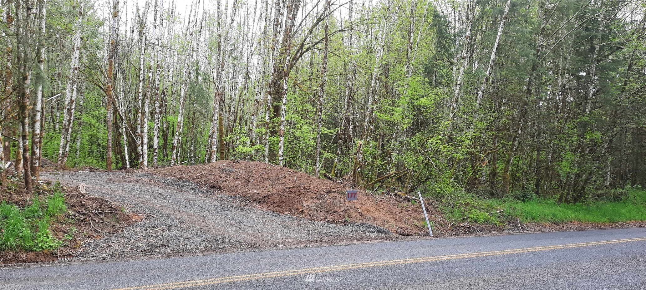 177 Berry Road Chehalis, WA 98532 - Photo 1 of 6 a view of a yard with plants and trees