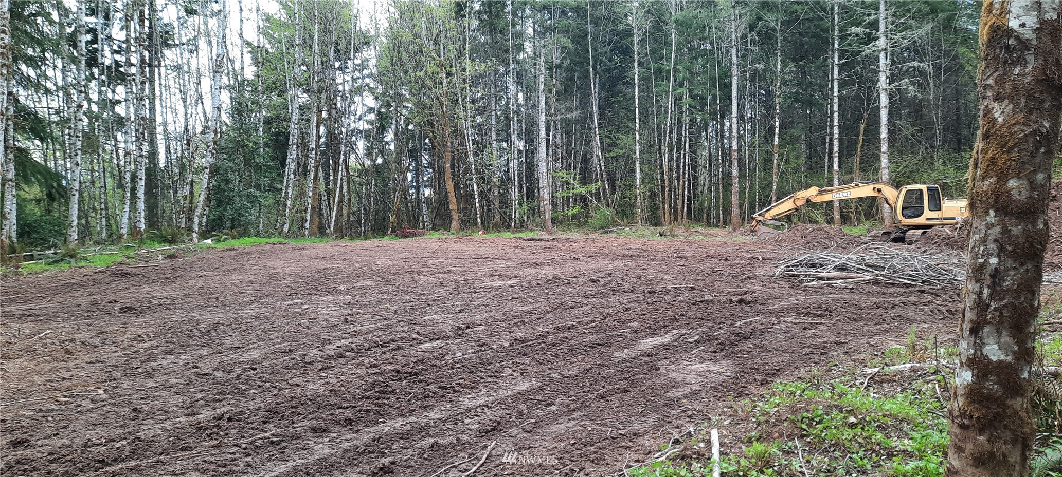 177 Berry Road Chehalis, WA 98532 - Photo 3 of 6 a view of a yard with trees