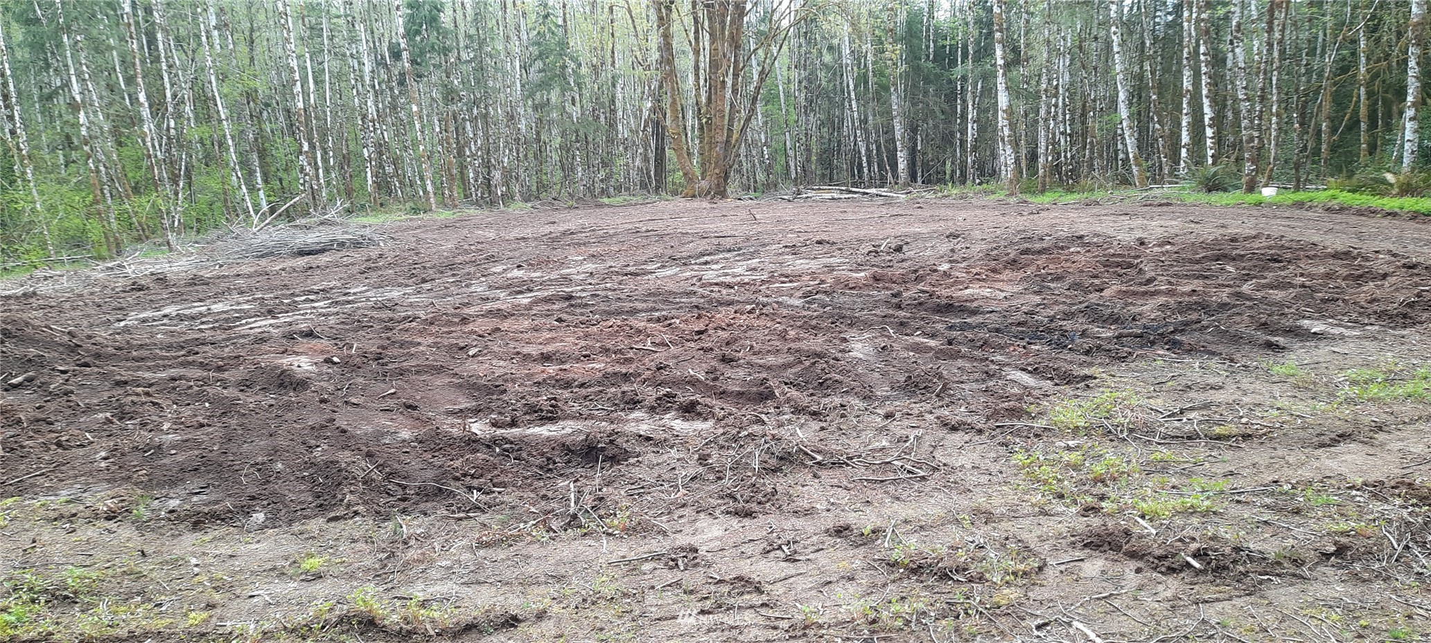 177 Berry Road Chehalis, WA 98532 - Photo 4 of 6 a view of outdoor space and yard