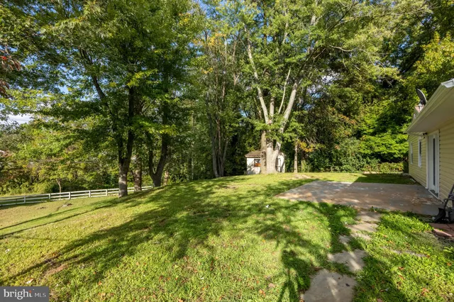 a view of a field with trees in the background