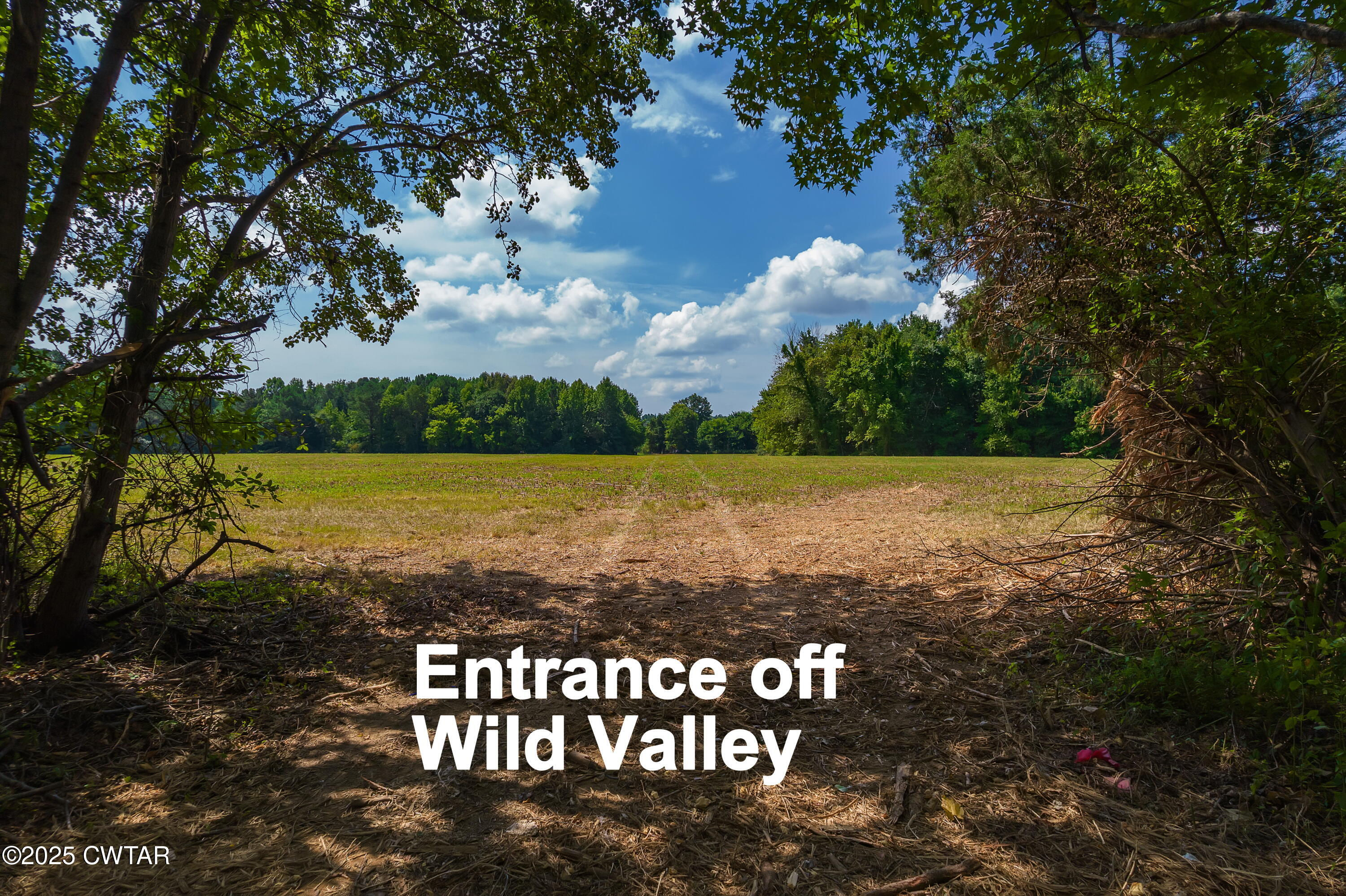 0 Wild Valley Drive Jackson, TN 38305 - Photo 3 of 6 a view of lake with green space