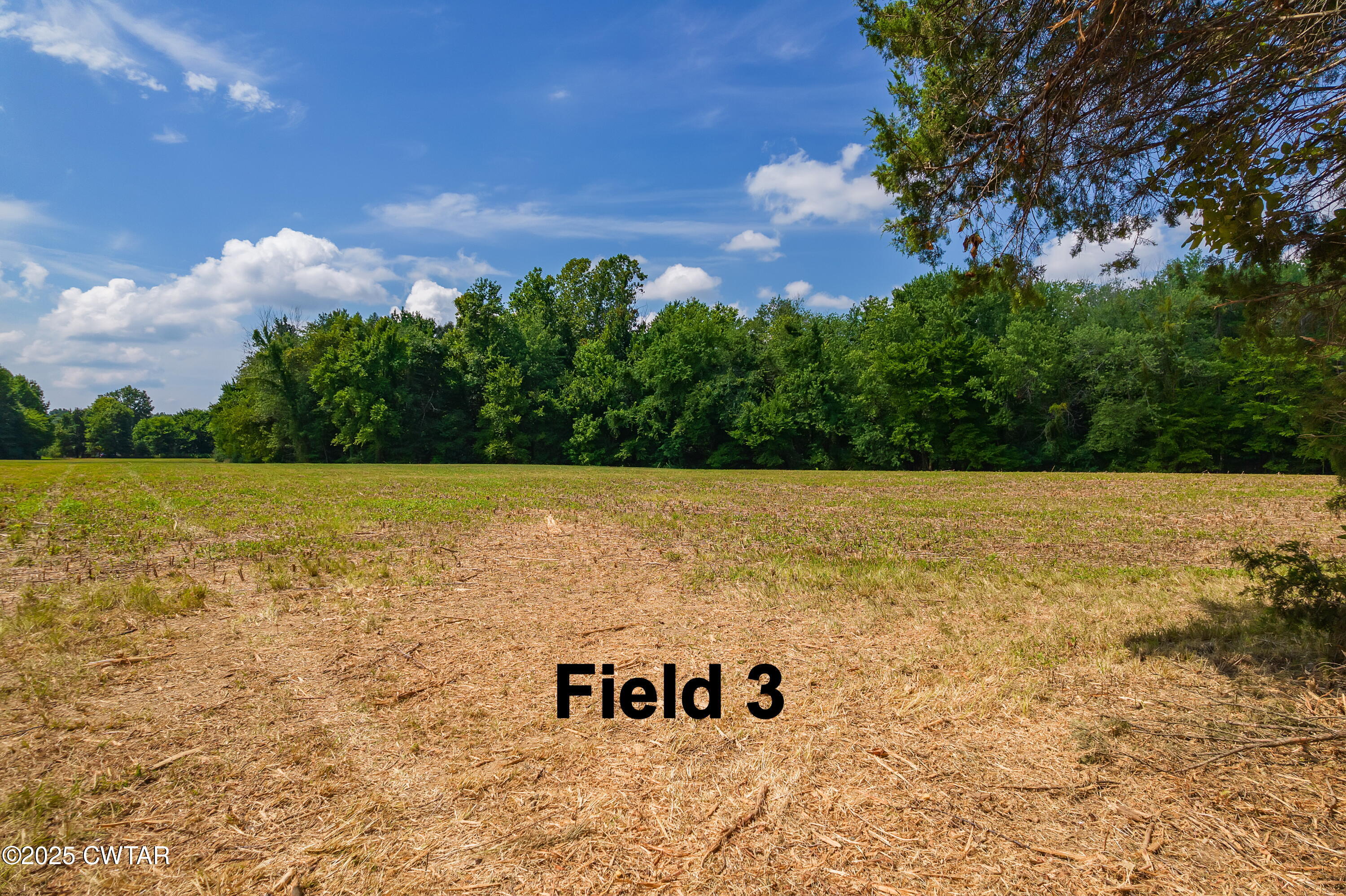 0 Wild Valley Drive Jackson, TN 38305 - Photo 4 of 6 a view of a signage