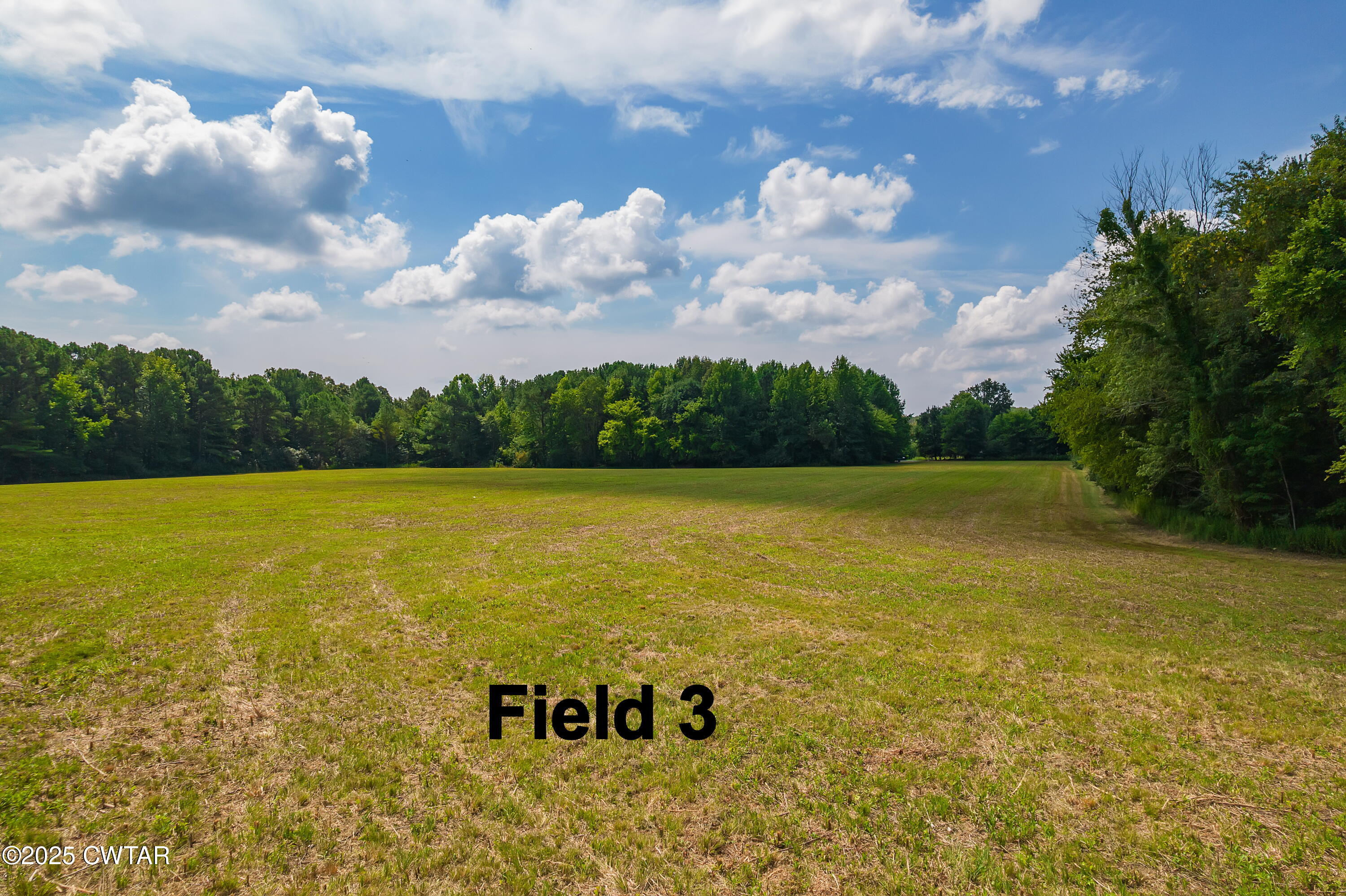 0 Wild Valley Drive Jackson, TN 38305 - Photo 5 of 6 a view of an ocean and beach