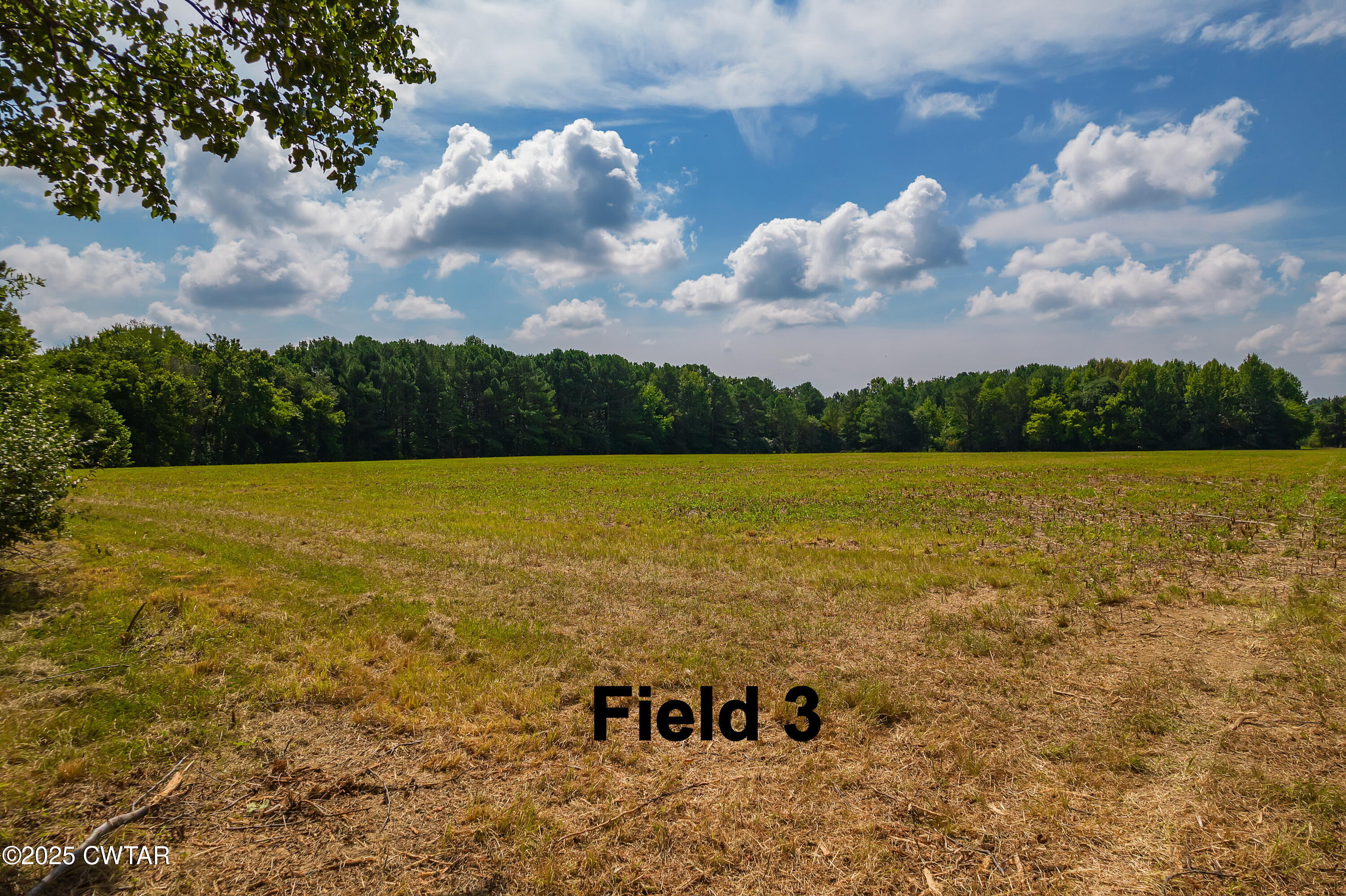 0 Wild Valley Drive Jackson, TN 38305 - Photo 6 of 6 a view of an ocean