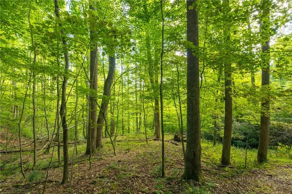 $150,000 | Wasatch Drive, Boone, NC 28607