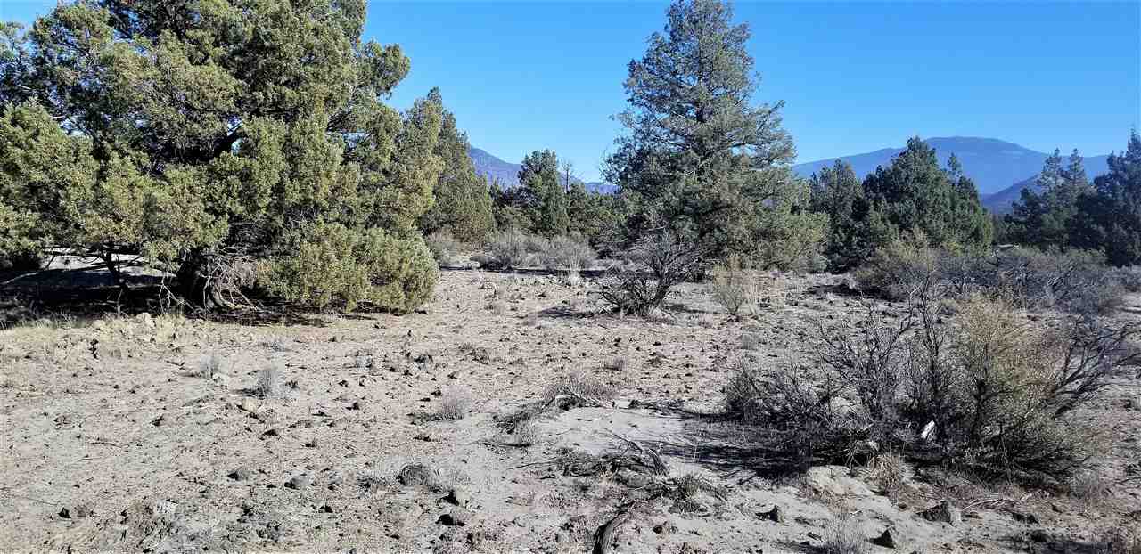 Lot 4 Lost Mine Road Montague, CA 96064 - Photo 2 of 8 Gallery Image 2