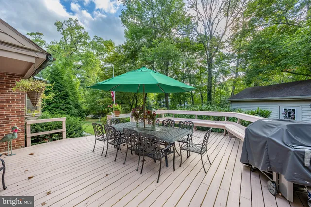 a plant that is in a garden