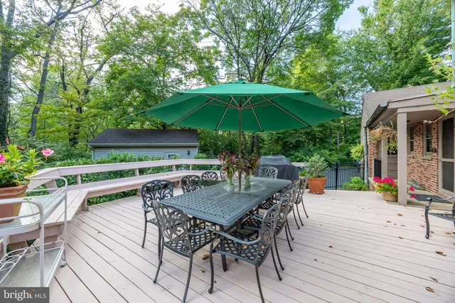 a view of a garden with plants