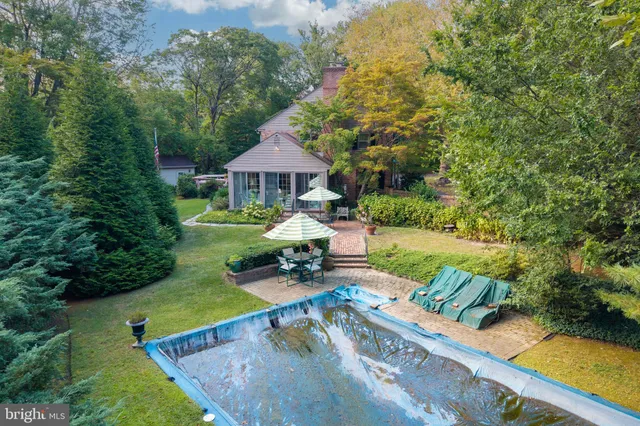 a garden with plants and large trees