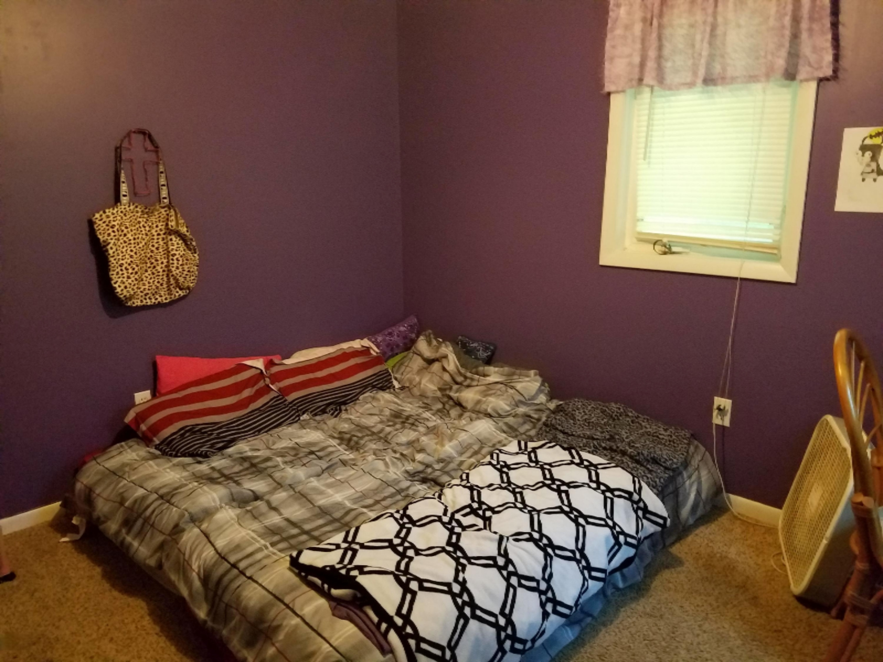 861 North Gibbs Road Albion, MI 49224 - Photo 8 of 24 20160802_190102