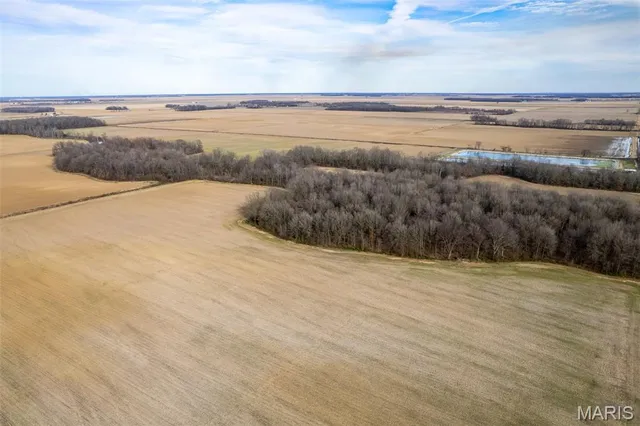 $1 | 7022 County Road 343, Neelyville, MO 63954