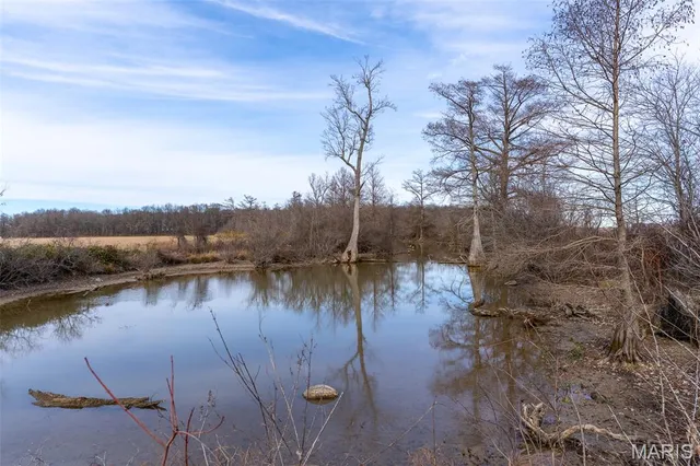 $1 | 7022 County Road 343, Neelyville, MO 63954