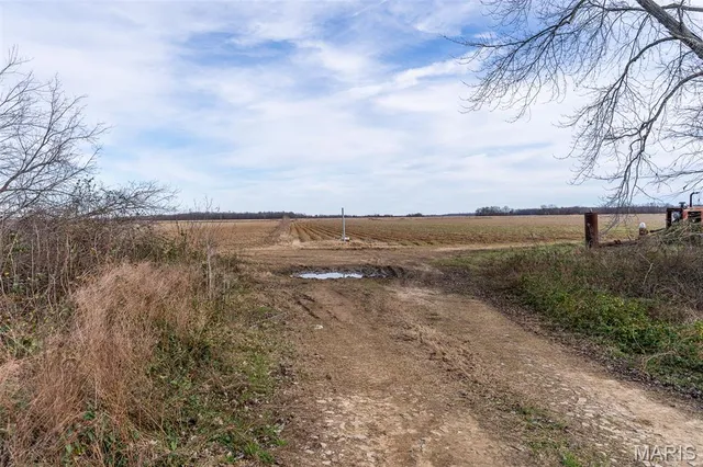 $1 | 7022 County Road 343, Neelyville, MO 63954