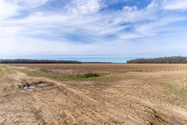 $1 | 7022 County Road 343, Neelyville, MO 63954
