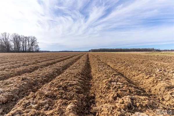 $1 | 7022 County Road 343, Neelyville, MO 63954