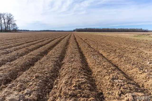 $1 | 7022 County Road 343, Neelyville, MO 63954