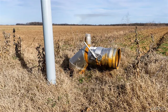 $1 | 7022 County Road 343, Neelyville, MO 63954