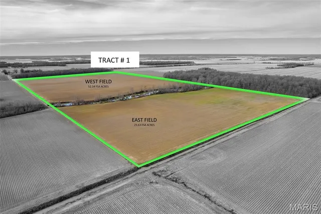 $1 | 7022 County Road 343, Neelyville, MO 63954