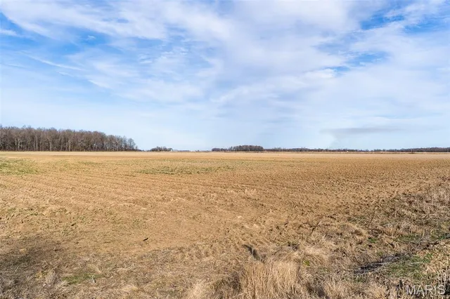 $1 | 7022 County Road 343, Neelyville, MO 63954