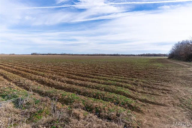 $1 | 7022 County Road 343, Neelyville, MO 63954