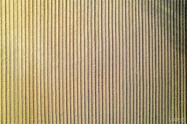 $1 | 7022 County Road 343, Neelyville, MO 63954