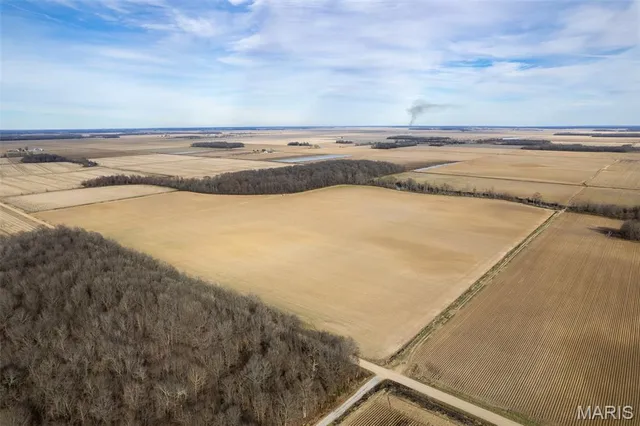 $1 | 7022 County Road 343, Neelyville, MO 63954