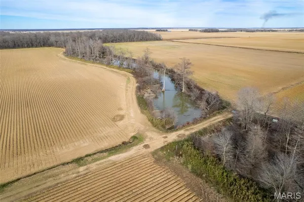 $1 | 7022 County Road 343, Neelyville, MO 63954