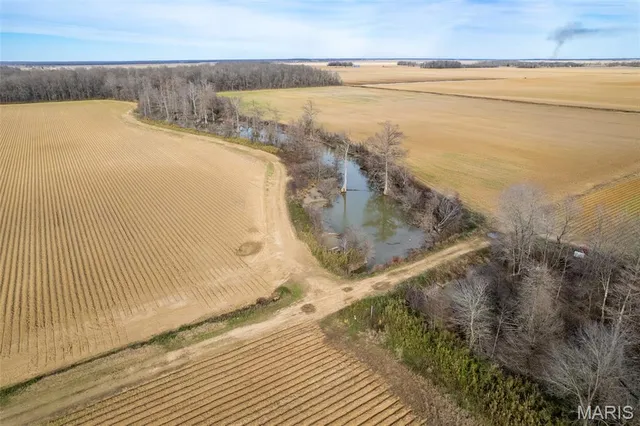 $1 | 7022 County Road 343, Neelyville, MO 63954