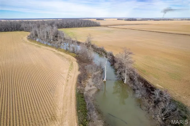 $1 | 7022 County Road 343, Neelyville, MO 63954