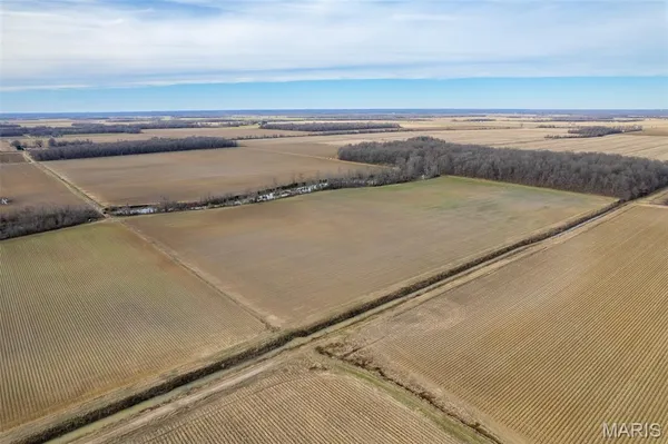 $1 | 7022 County Road 343, Neelyville, MO 63954