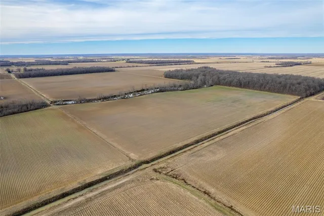 $1 | 7022 County Road 343, Neelyville, MO 63954