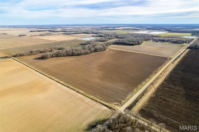 $1 | 7022 County Road 343, Neelyville, MO 63954