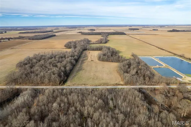 $1 | 7022 County Road 343, Neelyville, MO 63954