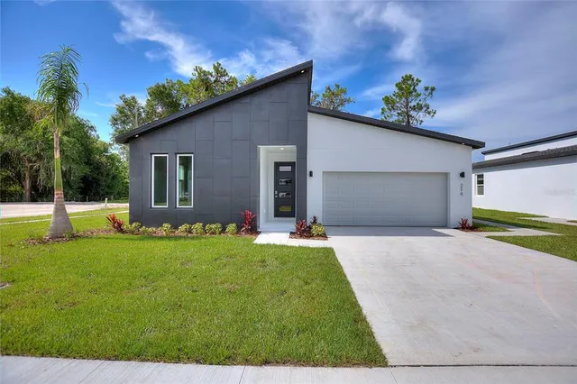 a backyard of a house with plants and palm tree