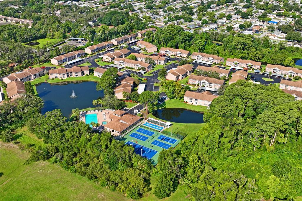 6424 Spring Flower Drive, Unit 15 New Port Richey, FL 34653 - Photo 47 of 48