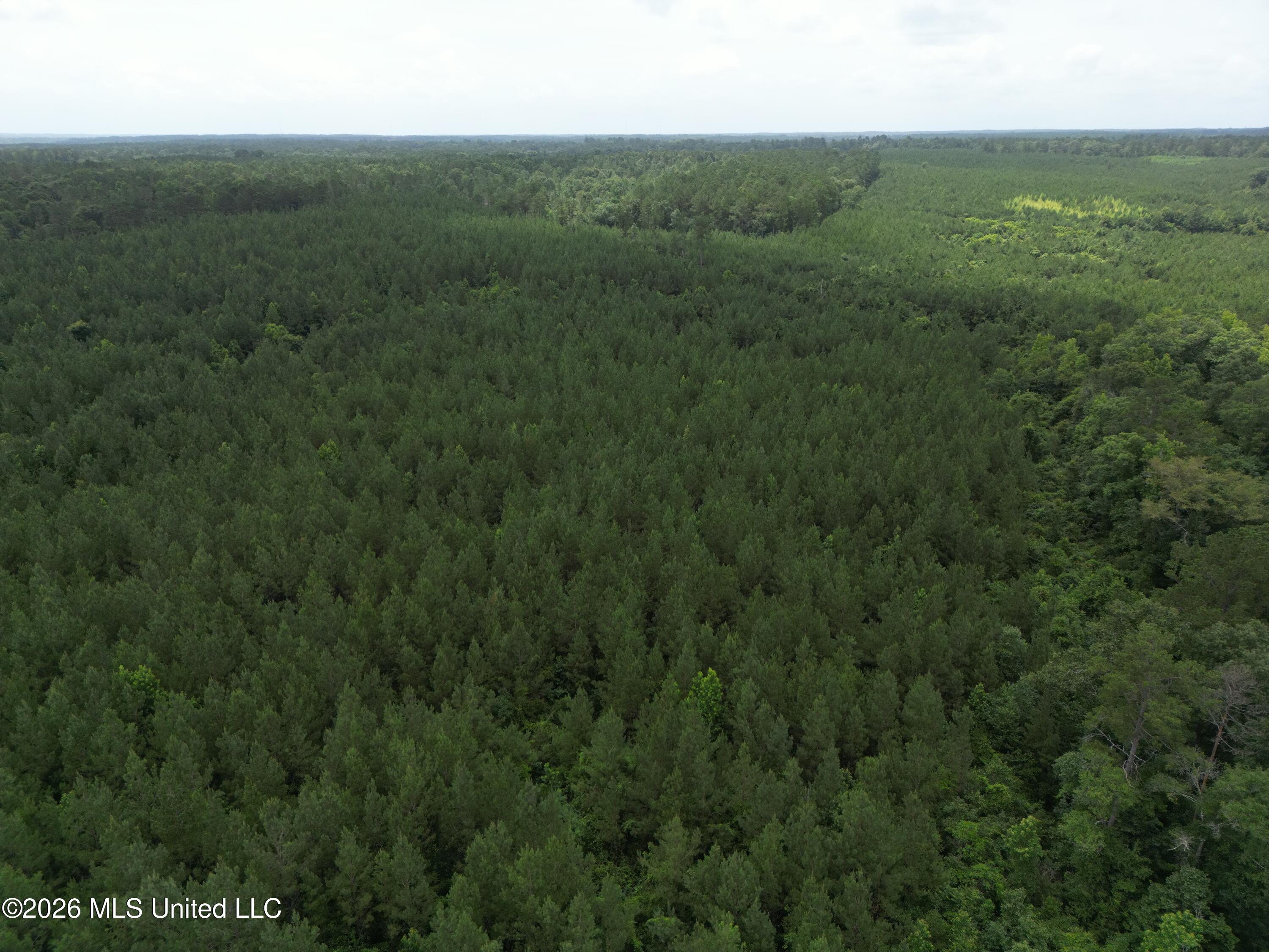 Summit Holmesville Road McComb, MS 39648 - Photo 27 of 29 DJI_0636