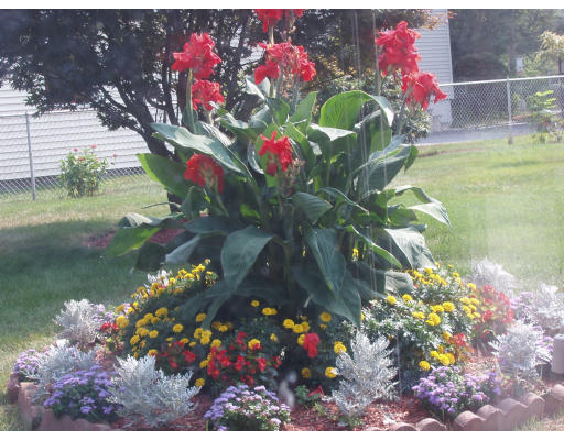 228 Cambridge Road Woburn, MA 01801 - Photo 11 of 14 Gallery Image 11
