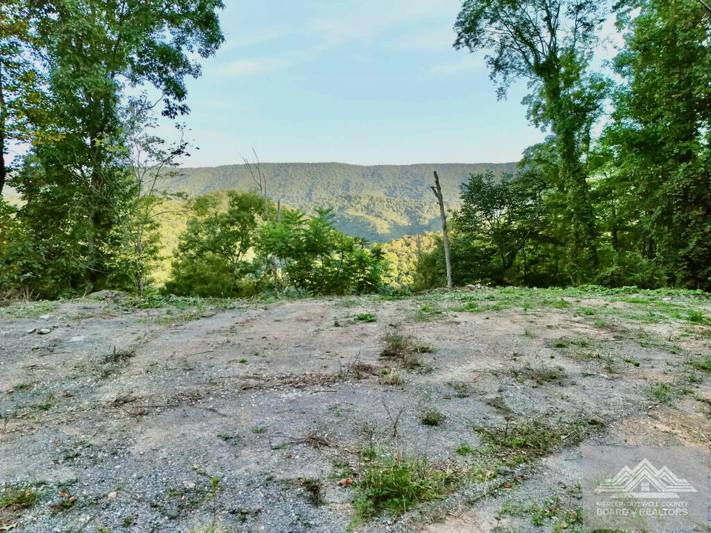 0 Country Girl Road Bluefield, WV 24701 - Photo 3 of 15 Gallery Image 3