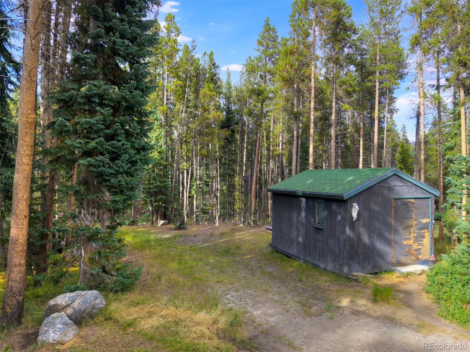 644 Spruce Creek Road Breckenridge, CO 80424 - Photo 42 of 42 a view of a backyard with plants and trees