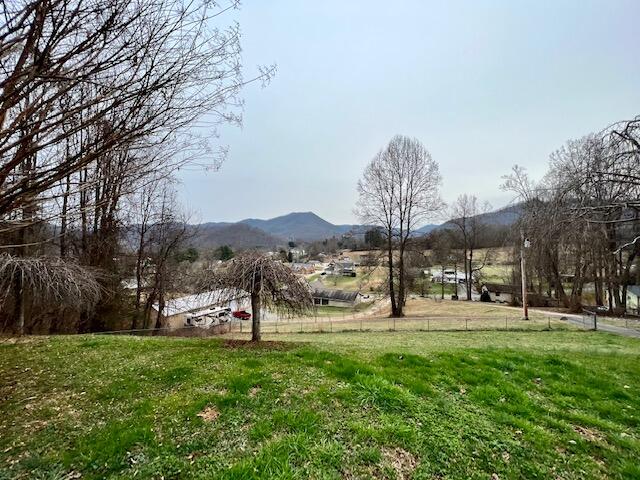 184 Clay Little Road Elizabethton, TN 37643 - Photo 11 of 28 IMG_0275
