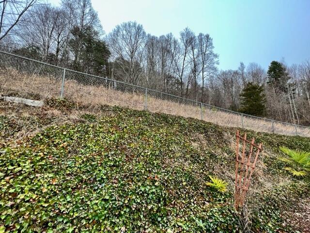 184 Clay Little Road Elizabethton, TN 37643 - Photo 28 of 28 IMG_0282
