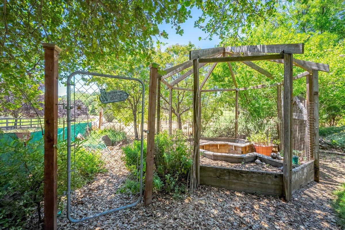 10947 East Lime Kiln Road Grass Valley, CA 95949 - Photo 66 of 94 Planting gazebo