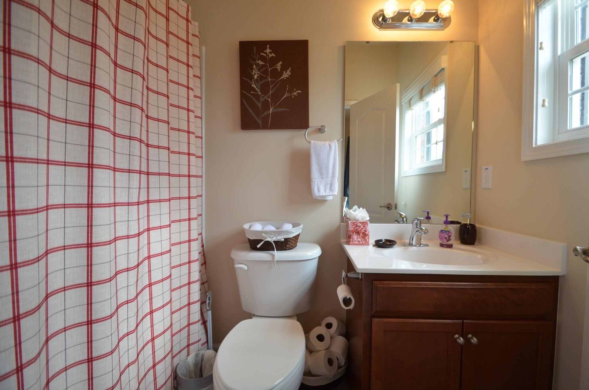 812 Rue Drive Charleston, SC 29414 - Photo 9 of 12 Guest Bedroom Full Bath