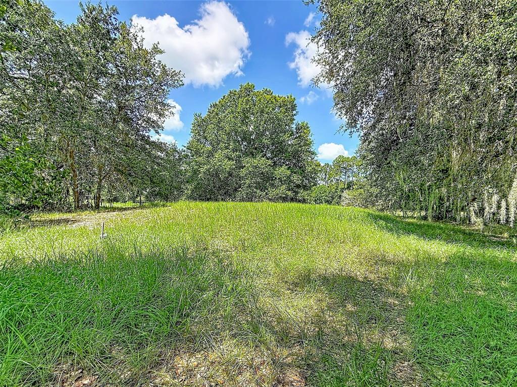 6020 Kelly Road Plant City, FL 33565 - Photo 21 of 40 Gallery Image 21