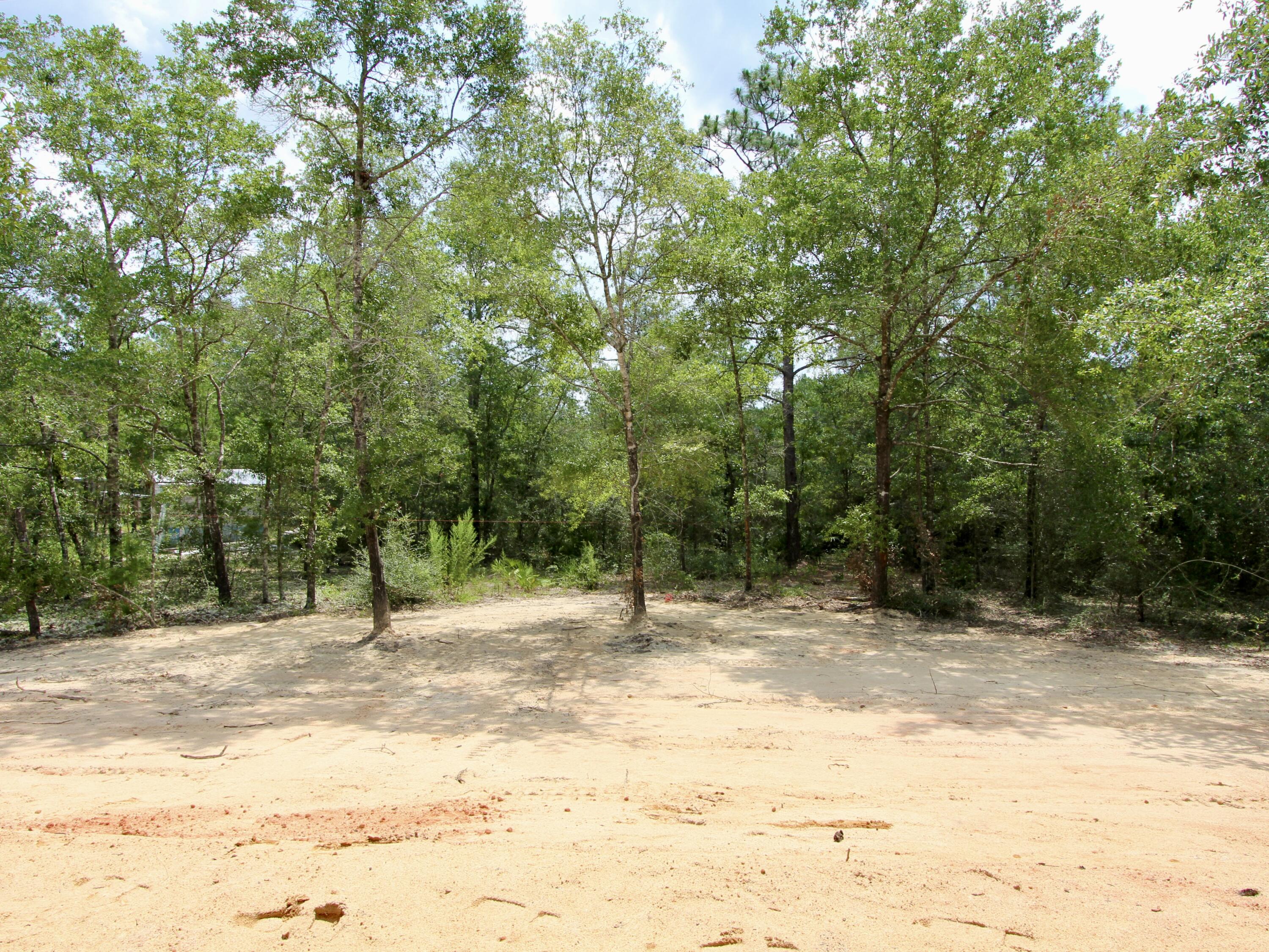 376 West Michaelangelo Road DeFuniak Springs, FL 32433 - Photo 12 of 28 IMG_8426