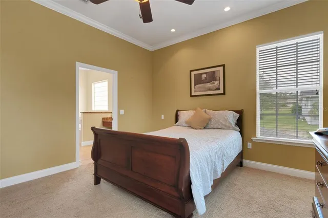 a bed room with a bed and a window