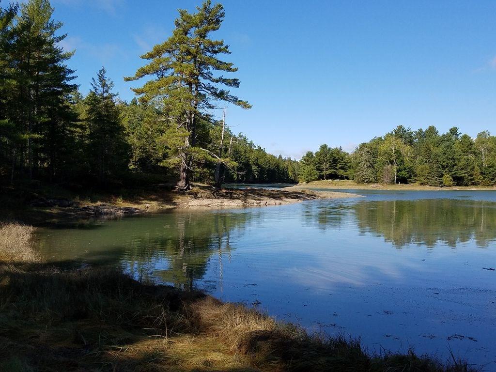 241 Ox Cove Road Pembroke, ME 04666 - Photo 14 of 29 Photo