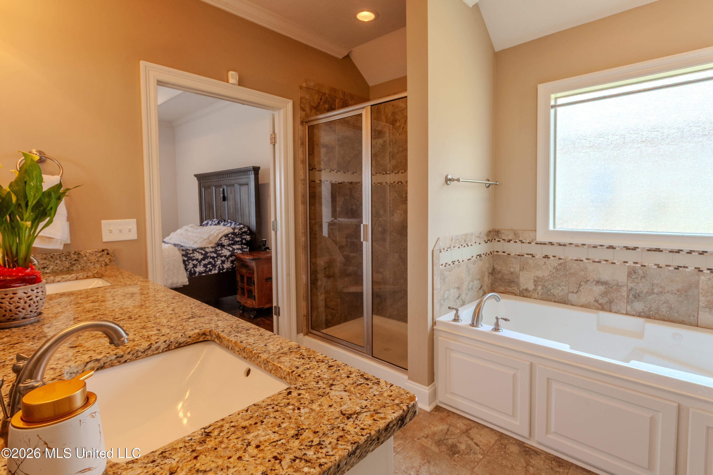 292 Buckhead Drive Madison, MS 39110 - Photo 18 of 19 masterbathroom