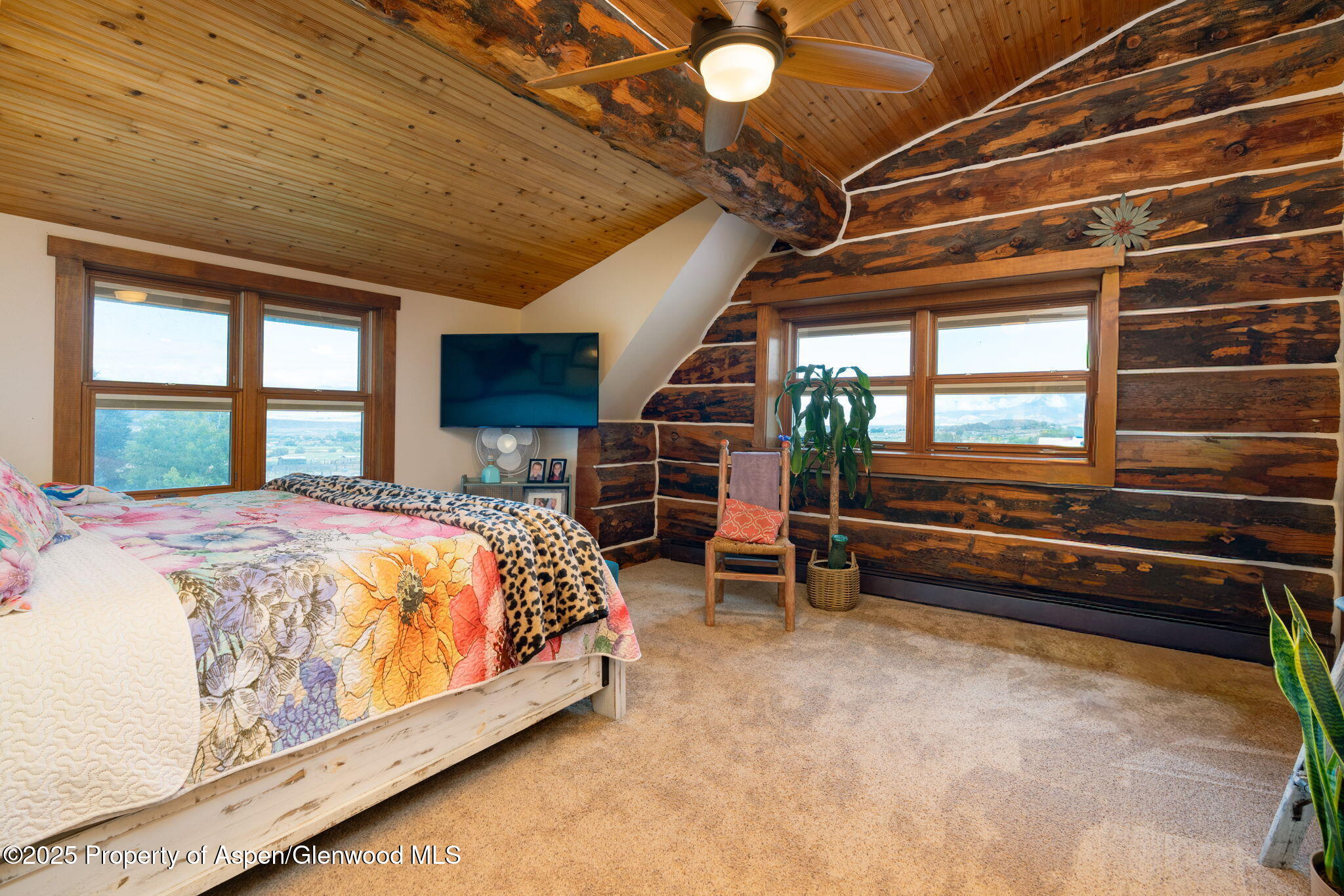 1334 County Road 250 Silt, CO 81652 - Photo 22 of 47 11-web-or-mls-1334 Co Rd 250-10