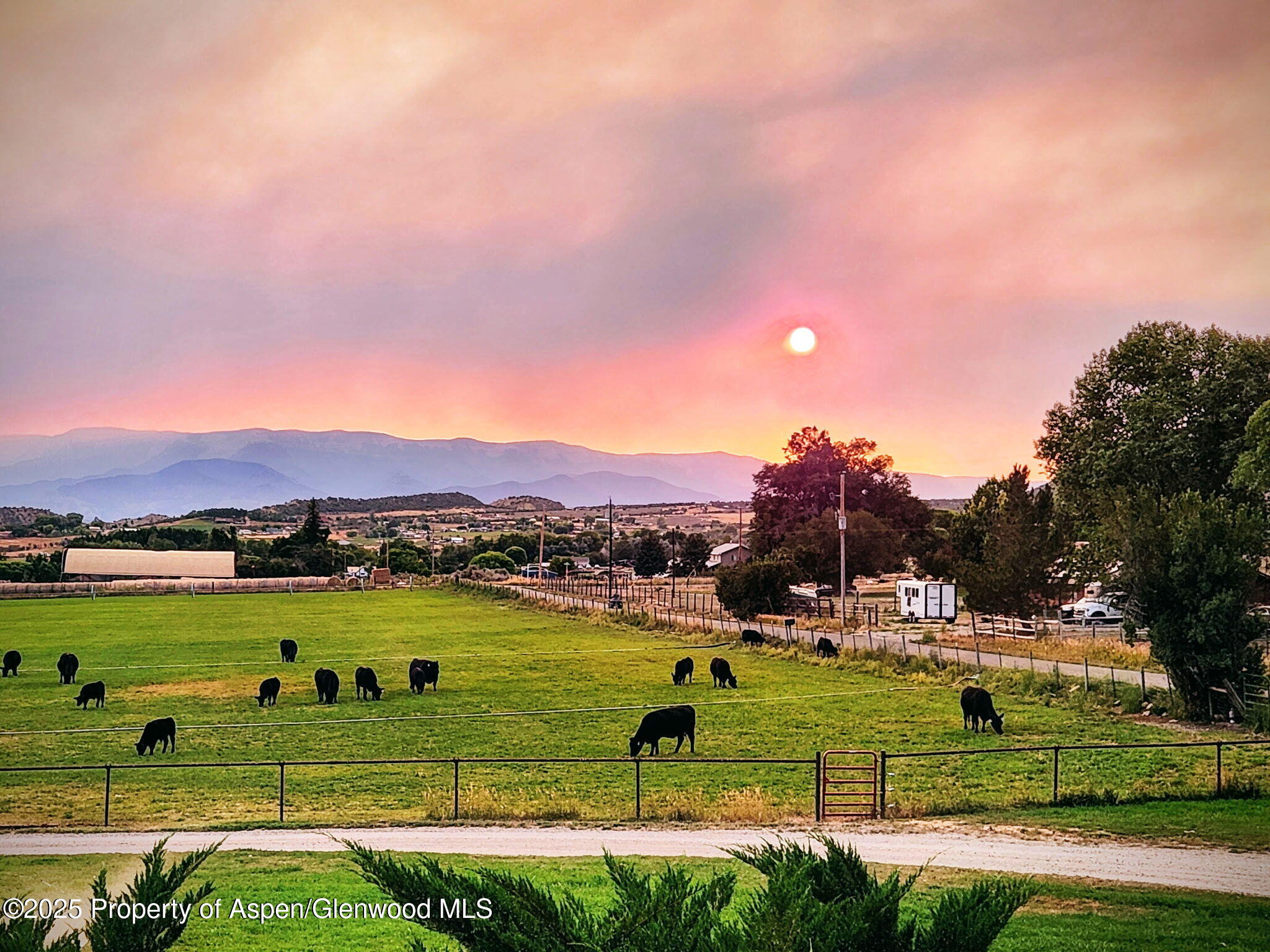 1334 County Road 250 Silt, CO 81652 - Photo 46 of 47 1334 #6